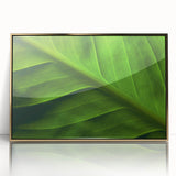 Close-up of leaves in gold frame, acrylic print, mid-century modernist style, suited for modern nursery decor.