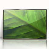 Mid-century modernist art depicting close-ups of leaves in silver acrylic frame, ideal for nursery wall decor.