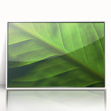 Art deco poster featuring close-up of leaves in muted green tones, acrylic framed, ideal for modern nursery decor.