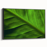 Black and white close-up leaf design on a framed canvas, ideal for bedroom wall art in a vintage style.