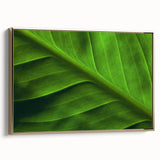 Framed canvas depicting close-up of leaves in gold tones, ideal for bedroom wall art with a vintage poster feel.
