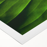 Art deco poster featuring close-up of green leaves on extra large rolled canvas, suitable for dining room wall.