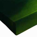 Close-up of leaves in black and white on stretched canvas, ideal for bedroom wall art.