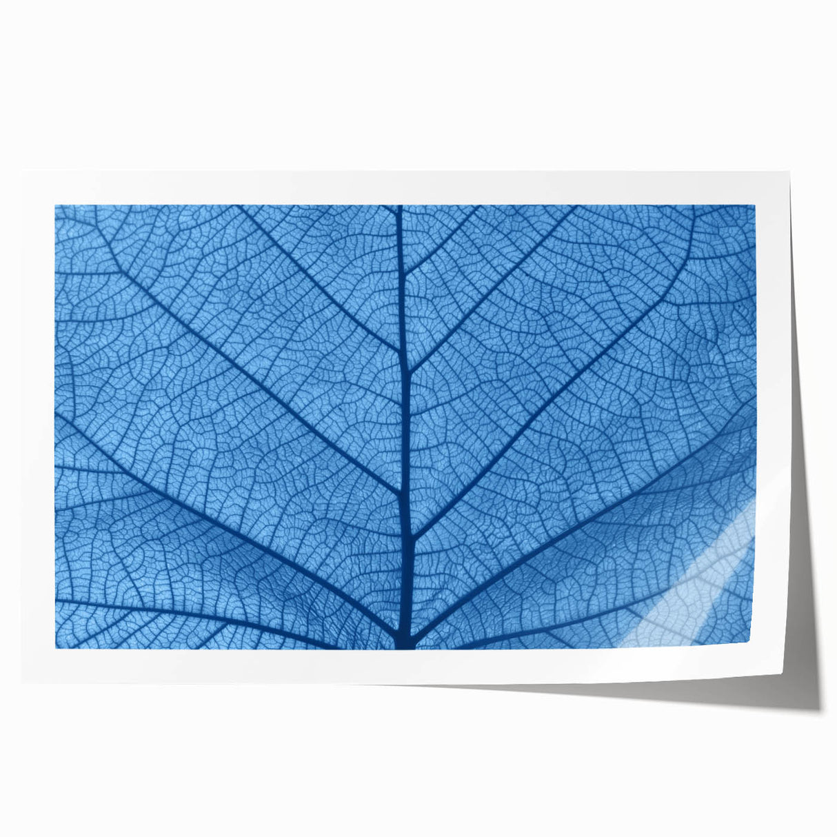 Close-up of green leaves in a rolled print, ideal for art wall dining room or classy bathroom wall art.