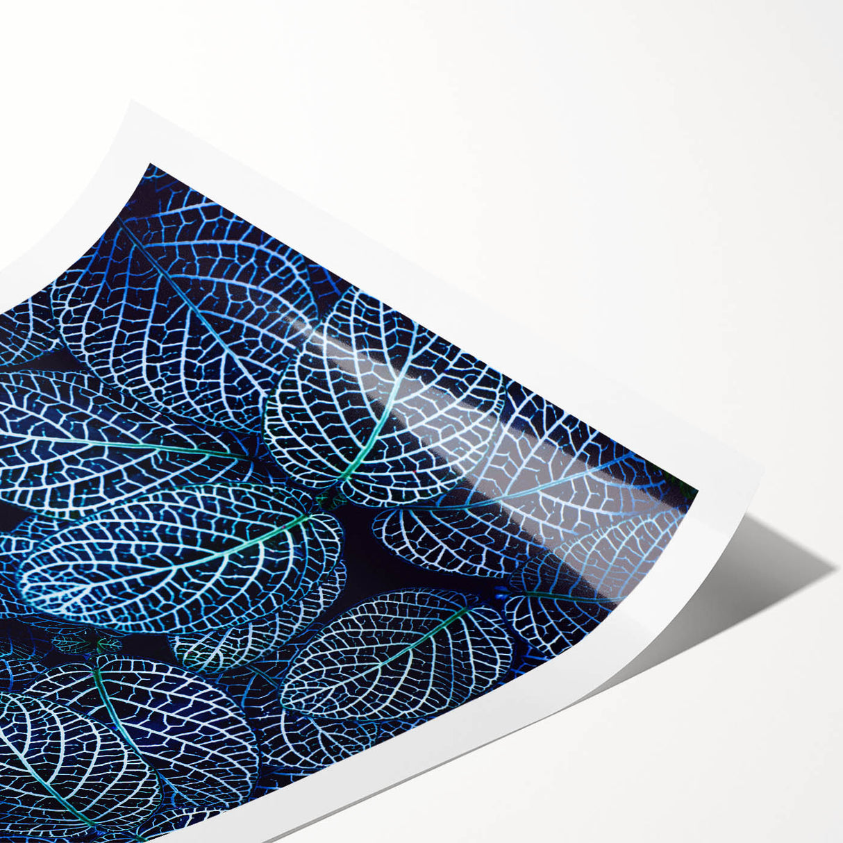 Extra large rolled print featuring line art flowers in black and white, ideal for large living room wall art.