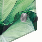 Close-up of large abstract leaves design in muted greens on acrylic glass.