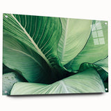 Close-up of green leaves in abstract style on acrylic glass, suitable for bedroom or dining room decor.