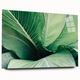 Large abstract wall art featuring close-up leaves design in green and yellow tones on acrylic glass.