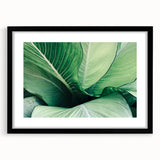 Abstract art print featuring textured, colorful leaves on an extra large canvas, framed in black.