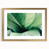 Extra large abstract art print of textured leaves in muted green and gold, framed in gold, ideal for living room decor.