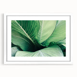 Abstract art print of close-up leaves in muted green tones on a white framed canvas, ideal for dining room decor.