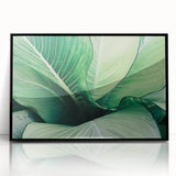 Large abstract wall art featuring close-up leaves in green and yellow tones on a black acrylic frame.