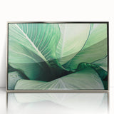 Mid-century modernist close-up of leaves in muted green and silver hues, framed acrylic, ideal for nursery wall art.