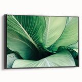 Black and white framed canvas featuring a close-up view of leaves, ideal for bedroom wall decor.