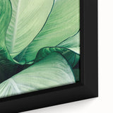 Extra large framed canvas featuring a close-up of textured leaves in black with vibrant colorful accents.