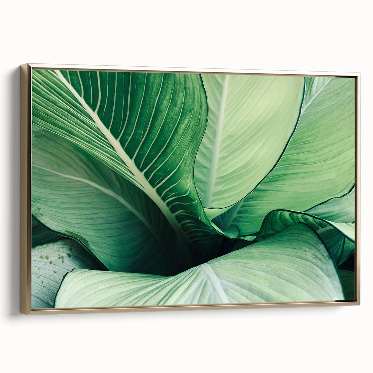 Framed canvas depicting a close-up view of leaves in muted green tones, ideal for bedroom wall decor.