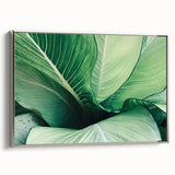 Framed canvas featuring close-up of green leaves.