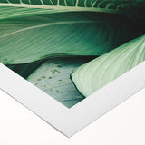 Art deco poster featuring close-up of green leaves, printed on rolled canvas, suitable for dining room or bathroom wall art.