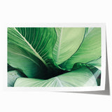 Close-up of green leaves print on rolled canvas, in muted green tones, ideal for dining room wall art.