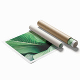 Close-up of green leaves on a rolled canvas print, ideal for classy bathroom wall art or large living room decor.