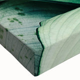 Large art featuring a close-up of leaves in black and white on a stretched canvas, suitable for bedroom wall decor.