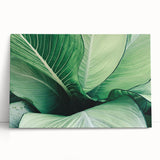 Close-up of leaves in black and white on stretched canvas, ideal for kitchen wall art or bedroom decor.