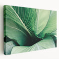 Close-up image of green leaves on a large stretched canvas, suitable for kitchen wall art.