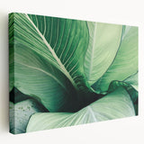 Close-up image of green leaves on a large stretched canvas, suitable for kitchen wall art.