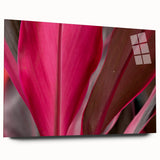 Large abstract wall art featuring close-up leaf designs in green tones on acrylic glass.