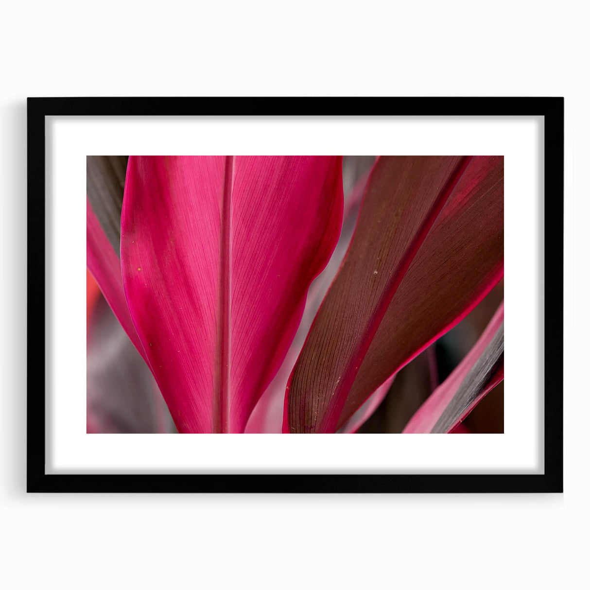 Extra large abstract art print of colorful, textured leaves on a black framed canvas, ideal for living room decor.