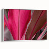 Framed canvas of vintage poster art featuring close-up colorful leaves on a black background, ideal for living room decor.