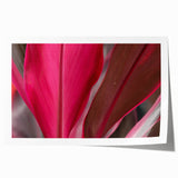 Close-up of green leaves in a rolled print, ideal for art wall dining room or classy bathroom wall art.