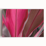 Close-up image of leaves in black and white on a stretched canvas, suitable for kitchen wall art.