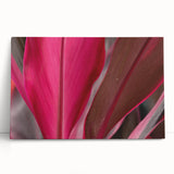 Close-up of leaves in black and white on a stretched canvas, ideal for kitchen wall art or bedroom decor.