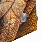 Large abstract wall art featuring close-up of leaves in muted green tones on acrylic glass, ideal for dining room decor.