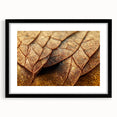 Extra large abstract art print featuring textured, colorful leaves on a black framed canvas, ideal for living room decor.