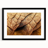 Extra large abstract art print featuring textured, colorful leaves on a black framed canvas, ideal for living room decor.