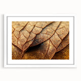 Abstract art print featuring close-up leaf designs in muted green tones on a white framed canvas.