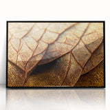 Large abstract wall art featuring close-up leaves in muted green and brown shades, framed in black acrylic.