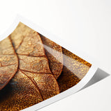 Extra large wall art featuring line art flowers in black on white, rolled print, suited for large living room spaces.