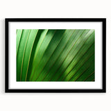 Extra large abstract art print featuring a close-up of colorful leaves, rendered in textured style on a black framed canvas.