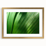 Extra large abstract art print featuring close-up leaves in textured greens and yellows, framed in gold.