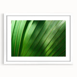 Close-up abstract art print of leaves in muted green and brown tones, framed in white.