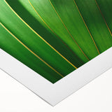 Art deco poster featuring close-up of green leaves on extra large rolled canvas.