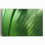 Black and white close-up photo of leaves on stretched canvas, ideal for kitchen wall art.