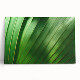 Close-up of leaves in black and white on stretched canvas, ideal for kitchen wall art or bedroom decor.