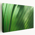 Close-up of green leaves on a large stretched canvas, suitable for kitchen wall art.