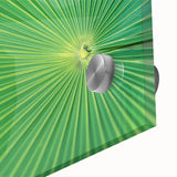 Large abstract wall art featuring close-up leaves in muted green and brown tones on acrylic glass.