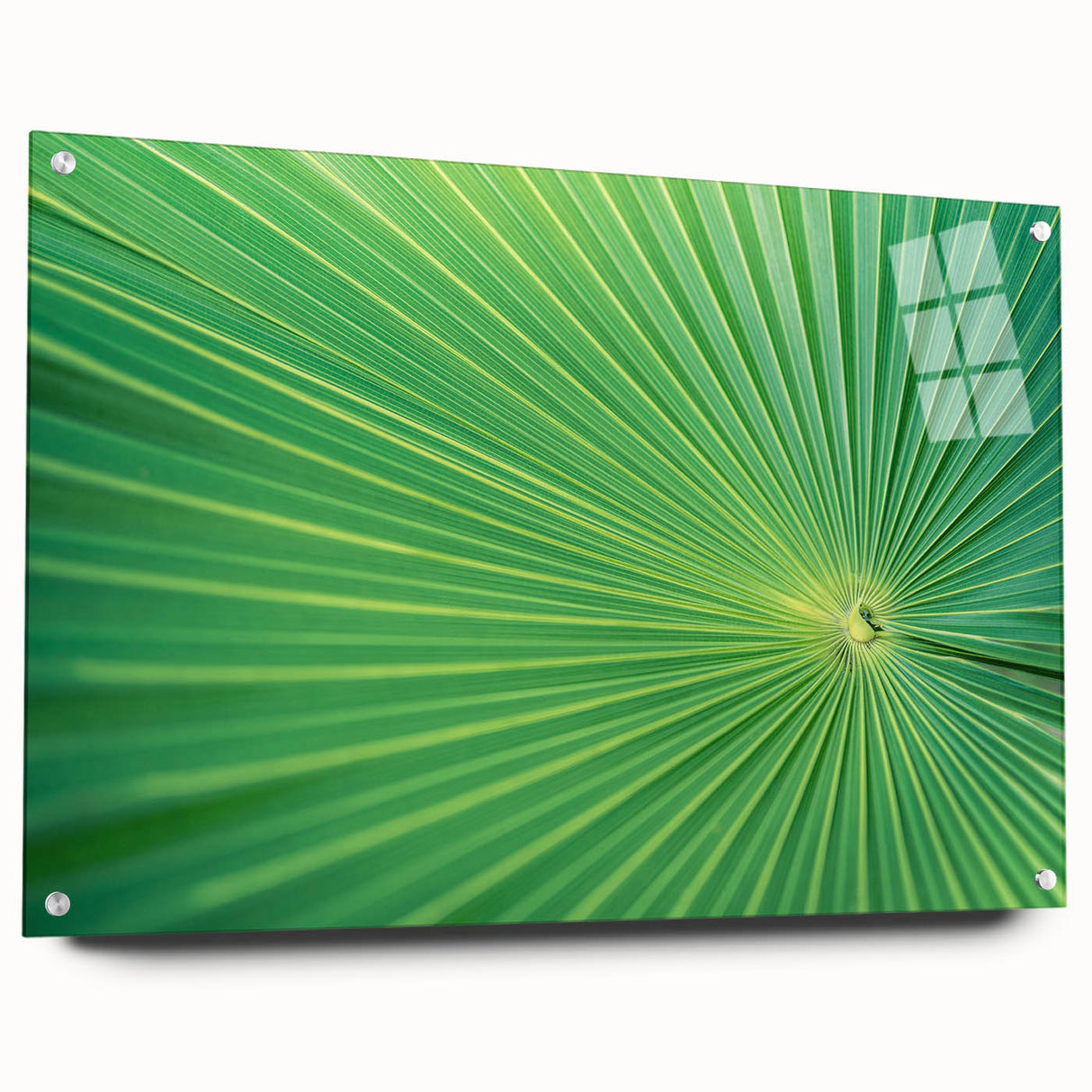 Close-up of green leaves on acrylic glass, ideal for bedroom or dining room wall art.