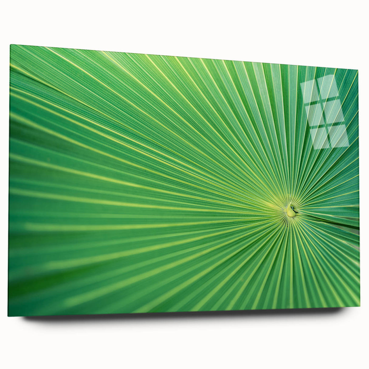Close-up of green leaves in a large abstract style on acrylic glass, suitable for bedroom or dining room decor.
